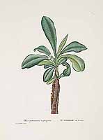  no thumbnail available