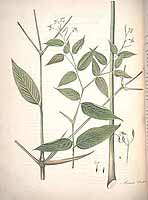  no thumbnail available