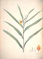  no thumbnail available