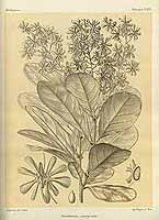  no thumbnail available