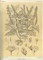  no thumbnail available