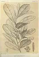  no thumbnail available