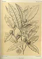  no thumbnail available