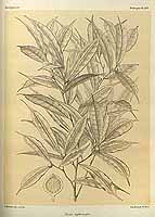  no thumbnail available