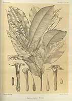  no thumbnail available