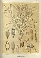  no thumbnail available