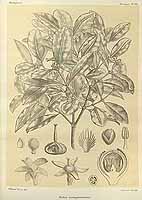  no thumbnail available