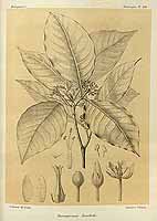  no thumbnail available