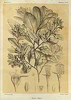  no thumbnail available