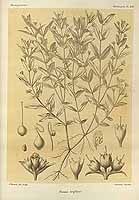  no thumbnail available