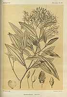  no thumbnail available