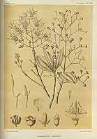  no thumbnail available