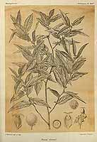  no thumbnail available