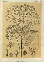  no thumbnail available