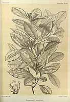  no thumbnail available