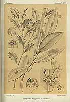  no thumbnail available