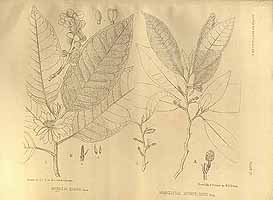  no thumbnail available