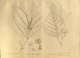  no thumbnail available