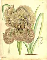  no thumbnail available