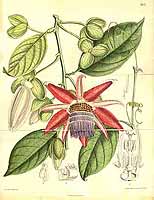  no thumbnail available