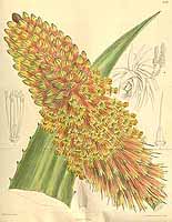  no thumbnail available