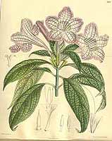  no thumbnail available