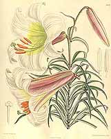  no thumbnail available