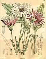  no thumbnail available