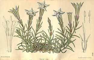  no thumbnail available