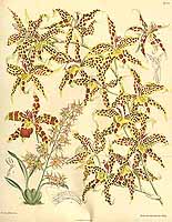  no thumbnail available