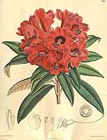  no thumbnail available