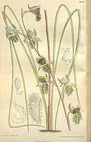  no thumbnail available