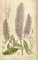  no thumbnail available