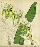  no thumbnail available