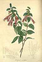  no thumbnail available