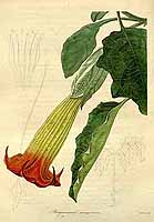  no thumbnail available