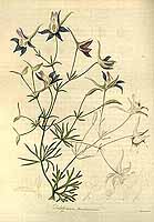  no thumbnail available