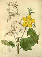  no thumbnail available