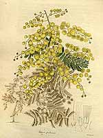  no thumbnail available