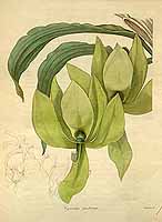  no thumbnail available