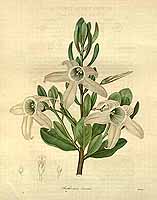  no thumbnail available