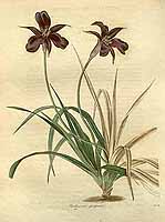  no thumbnail available