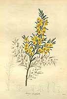  no thumbnail available