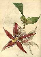  no thumbnail available