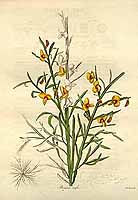  no thumbnail available