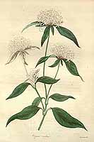  no thumbnail available