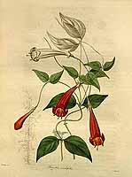  no thumbnail available