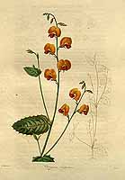  no thumbnail available