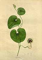  no thumbnail available