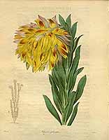  no thumbnail available